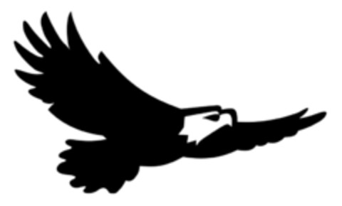  Logo (IGE, 12.04.2010)