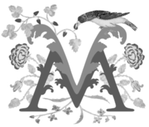 VM Logo (IGE, 10/06/2015)