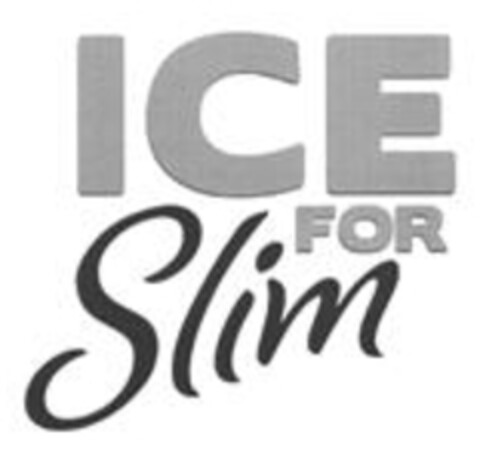 ICE FOR Slim Logo (IGE, 02.03.2012)