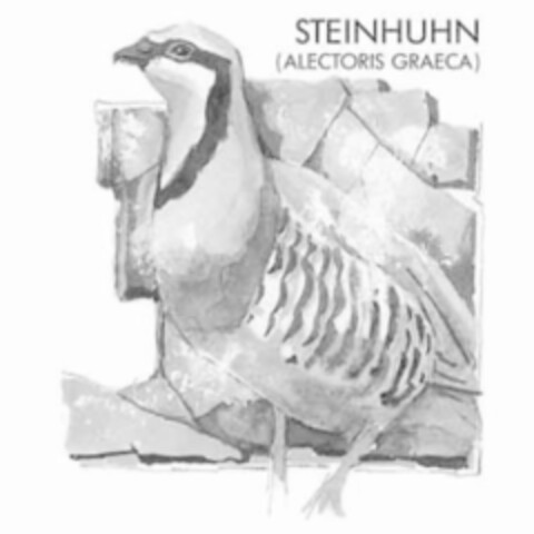 STEINHUHN (ALECTORIS GRAECA) Logo (IGE, 16.08.2007)