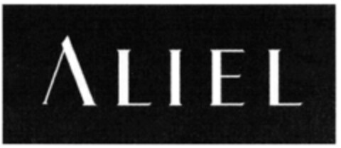 ALIEL Logo (IGE, 28.11.2006)