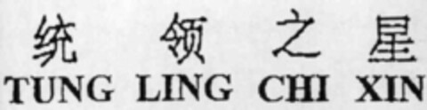 TUNG LING CHI XIN Logo (IGE, 02/24/2000)