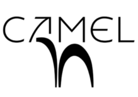 CAMEL Logo (IGE, 09/24/2020)