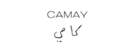 CAMAY Logo (IGE, 11.05.1977)