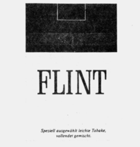 FLINT Logo (IGE, 10.03.1993)