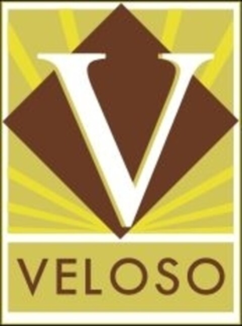 V VELOSO Logo (IGE, 25.04.2017)