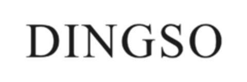 DINGSO Logo (IGE, 04/30/2014)
