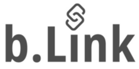 b.Link Logo (IGE, 02/27/2020)