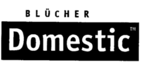 BLÜCHER Domestic Logo (IGE, 17.04.2001)