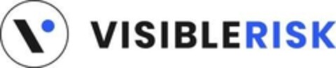 VISIBLERISK Logo (IGE, 05/25/2021)