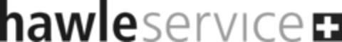 hawleservice Logo (IGE, 16.01.2024)
