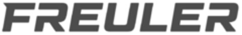 FREULER Logo (IGE, 08.11.2023)