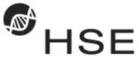 HSE Logo (IGE, 22.02.2017)