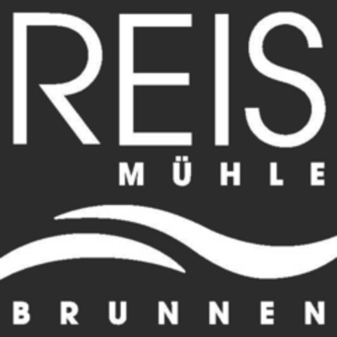 REIS MÜHLE BRUNNEN Logo (IGE, 18.06.2008)