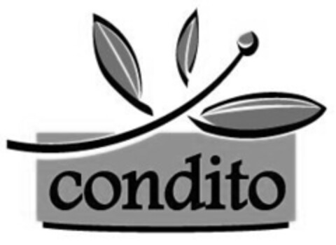 condito Logo (IGE, 29.07.2008)