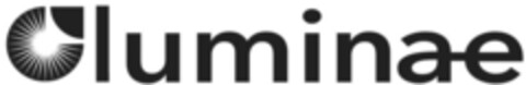 luminae Logo (IGE, 29.11.2012)