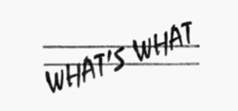 WHAT'S WHAT Logo (IGE, 01/24/1986)