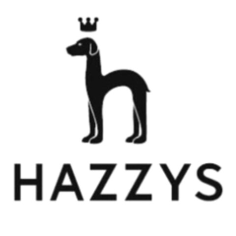 HAZZYS Logo (IGE, 28.05.2020)