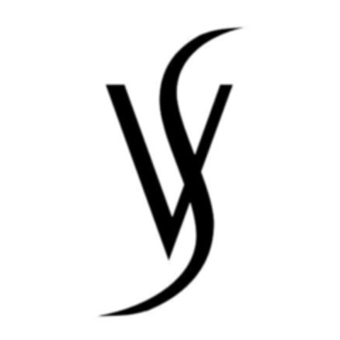 VS Logo (IGE, 28.01.2010)