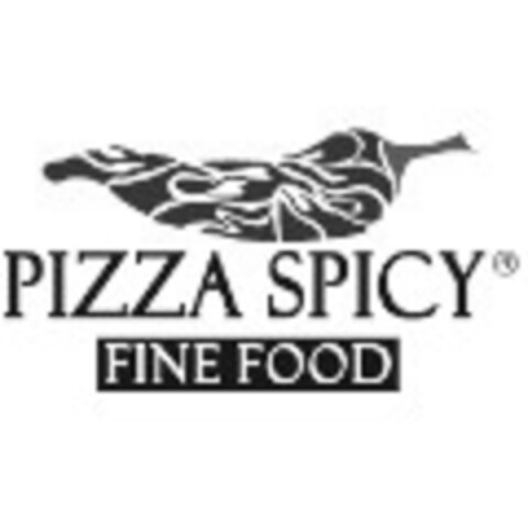 PIZZA SPICY FINE FOOD Logo (IGE, 09.05.2019)