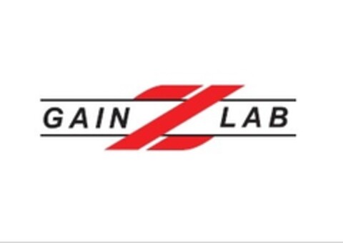 GAIN Z LAB Logo (IGE, 08.01.2024)