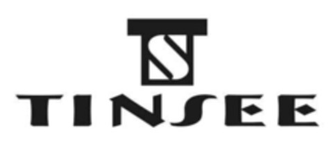 TS TINSEE Logo (IGE, 10.12.2008)