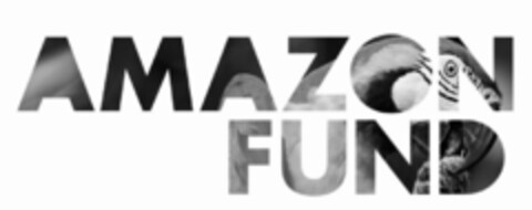 AMAZON FUND Logo (IGE, 28.09.2011)