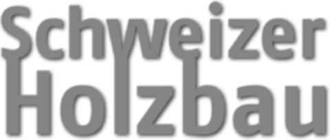 Schweizer Holzbau Logo (IGE, 07/01/2013)