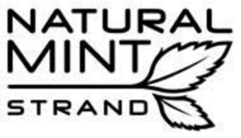 NATURAL MINT STRAND Logo (IGE, 20.07.2012)