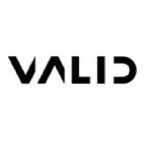 VALID Logo (IGE, 09.03.2018)