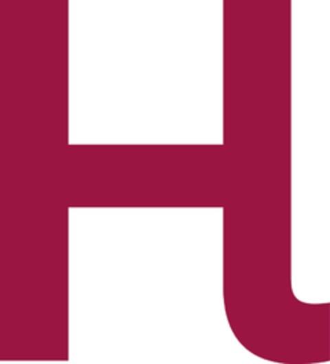 H Logo (IGE, 25.08.2023)