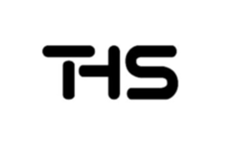 THS Logo (IGE, 14.05.2010)