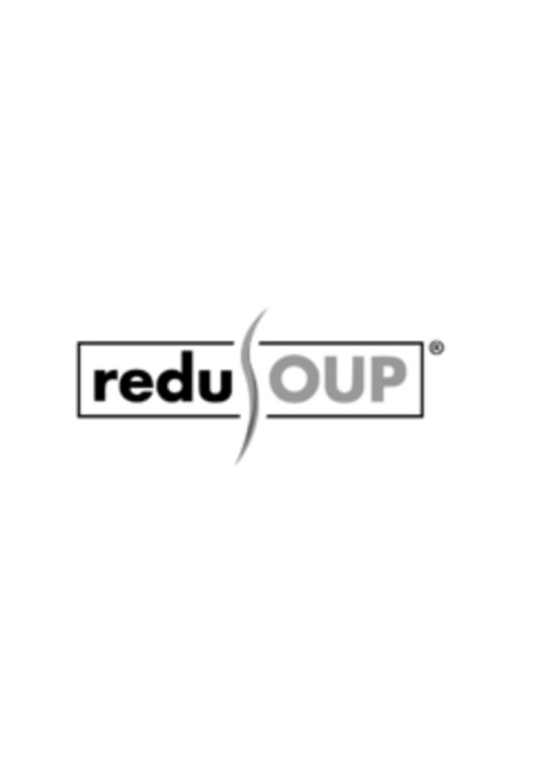 reduSOUP Logo (IGE, 30.08.2015)