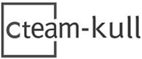 Cteam-kull Logo (IGE, 29.08.2008)