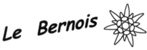 Le Bernois Logo (IGE, 11.03.2009)