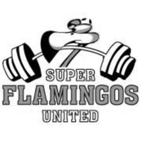 SUPER FLAMINGOS UNITED Logo (IGE, 16.12.2014)