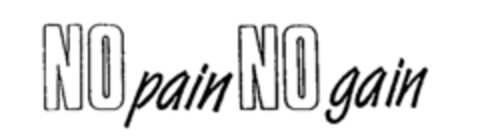 NO pain NO gain Logo (IGE, 18.01.1993)