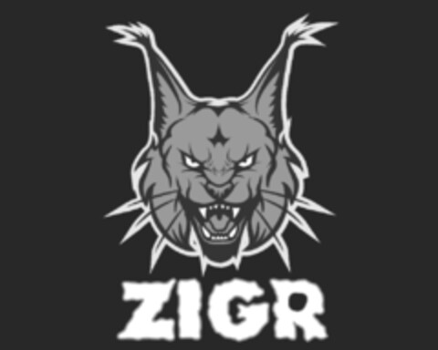 ZIGR Logo (IGE, 28.06.2019)