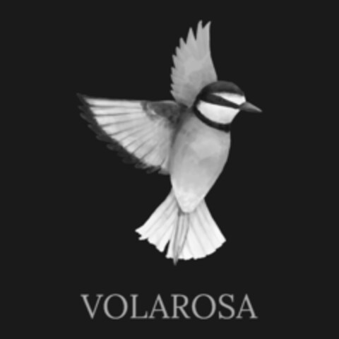 VOLAROSA Logo (IGE, 09/06/2019)