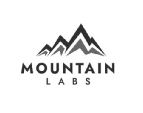 MOUNTAIN LABS Logo (IGE, 04.02.2022)