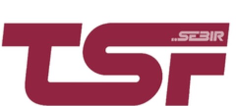 TSF SEBIR Logo (IGE, 16.03.2012)