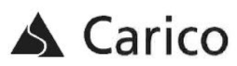 Carico Logo (IGE, 07/26/2016)