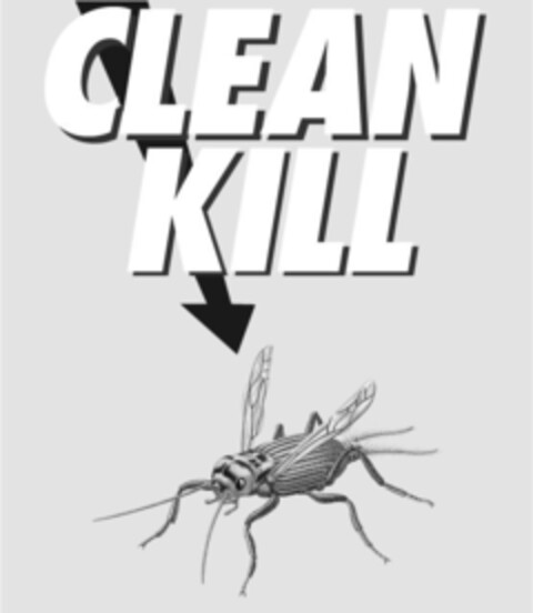 CLEAN KILL Logo (IGE, 20.07.2011)