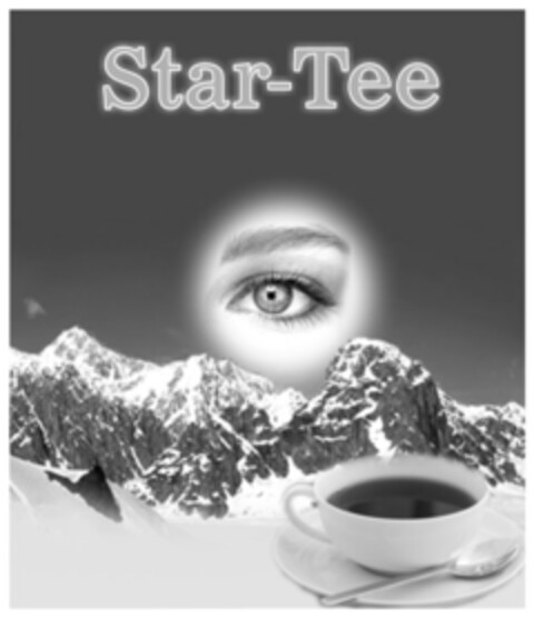 Star-Tee Logo (IGE, 11.12.2009)