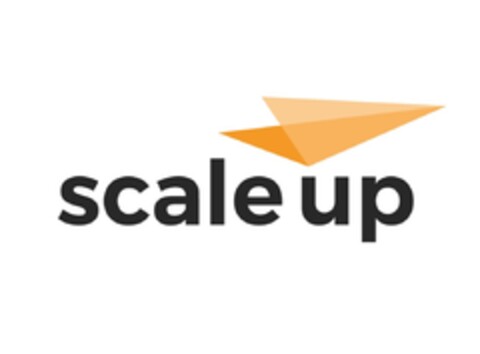 scale up Logo (IGE, 01/19/2024)