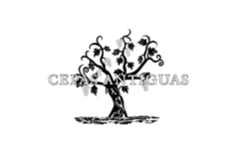CEPAS ANTIGUAS Logo (IGE, 14.10.2020)