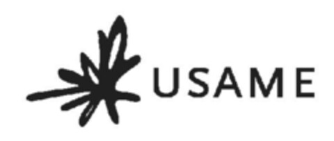 USAME Logo (IGE, 03/25/2014)