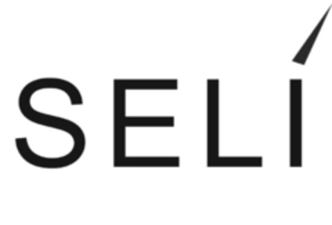 SELí Logo (IGE, 08.12.2023)
