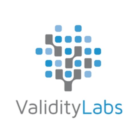 ValidityLabs Logo (IGE, 16.05.2017)