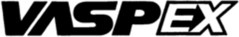 VASPEX Logo (IGE, 03.02.1999)